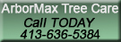 ArborMax Tree Care, LLC- We offer professional removal, trimming or pruning of all types of trees.Call today for your free estimate! 413-636-5384 