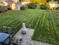 photo15